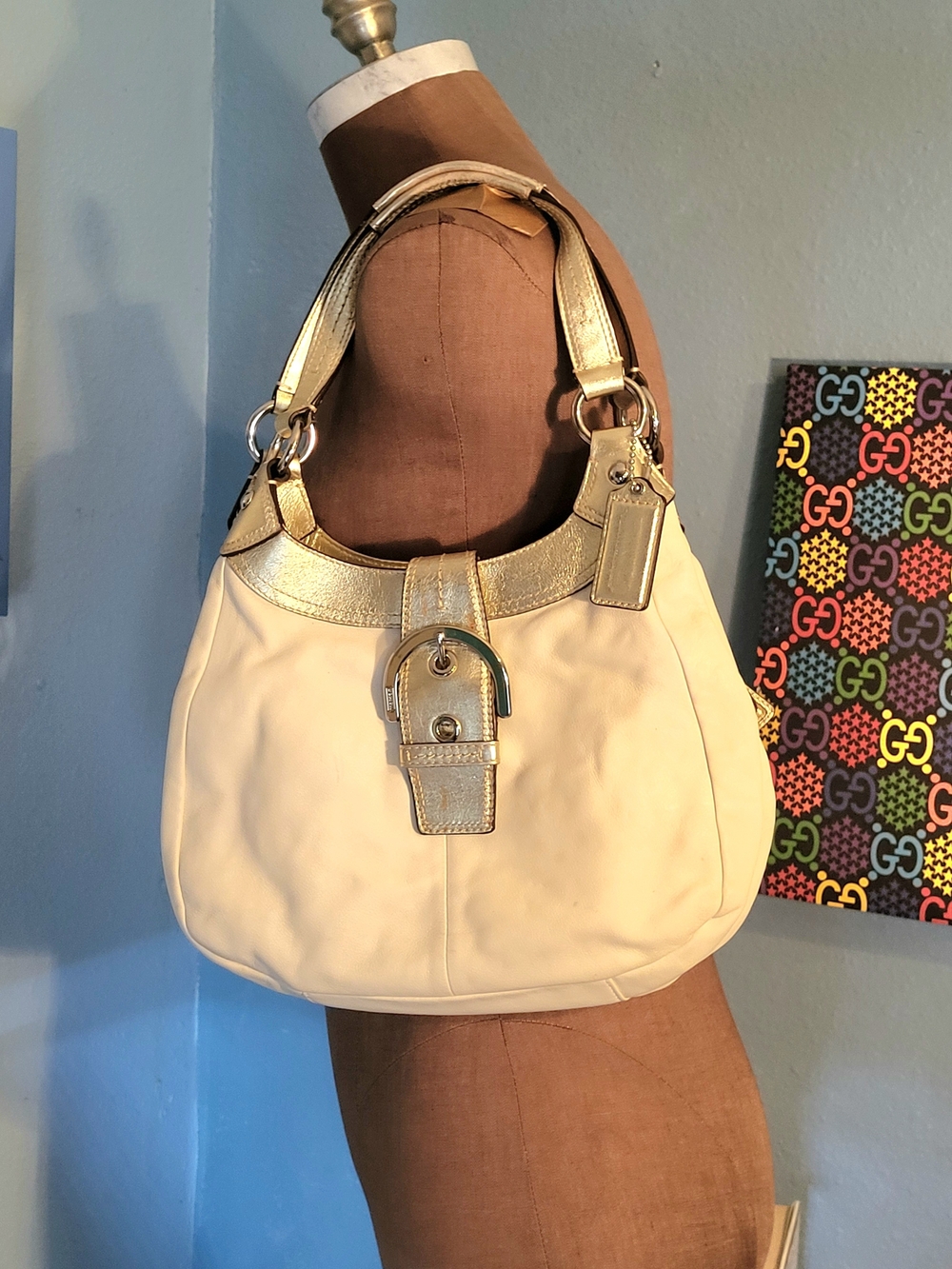 Coach Soho Lynn Leather Hobo Bag